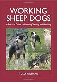 Working Sheep Dogs: A Practical Guide to Breeding, Training and Handling (Landlinks Press)