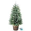 Philips Battery Operated LED Potted Pine Tree - 3'