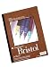 Strathmore 400 Series Bristol Sheets 22 in. x 30 in. 3 ply sheets each smooth