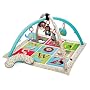 Skip Hop 307300 ABC Activity Gym by Skip Hop