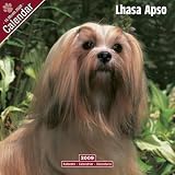 2009 Lhasa Apso Wall Calendar
