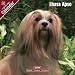 2009 Lhasa Apso Wall Calendar