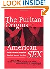 The Puritan Origins of American Sex: Religion, Sexuality, and National Identity in American Literature
