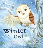 Owl's winter rescue