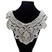 Beige Flower Neckline Lace Collar Charming Sewing Applique