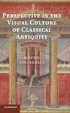 Perspective in the visual culture of classical antiquity