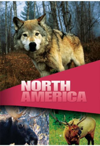 NORTH AMERICA : DVD
