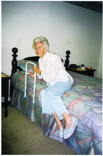 The Transfer Handle Bed Rail