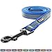 Pawtitas 6 FT Padded Dog Leash with Comfortable Neoprene Padding Handle - Blue Lead | Small Reflective Dog Leash with Highly Reflective Band Perfect for Extra Small and Small Dogs and Puppies.