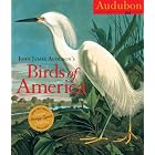 John James Audubon's Birds of America 2010 Calendar by CC National Audubon Society