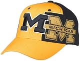 University of Michigan Wingman Team Color One-Fit Hat