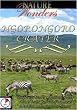 Nature Wonders  NGORONGORO CRATER Tanzania