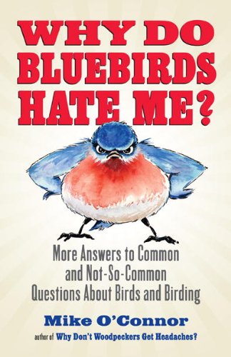 Why Do Bluebirds Hate Me?: More Answers to Common and Not-So-Common Questions about Birds and Birding