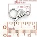 Valyria Jewelry 5pcs Silver Tone Stainless Steel Lobster Clasps 19mm x 12mm(6/8