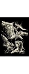 Glow in the Dark Engraving Pterodactyls