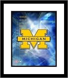 Michigan Wolverines Team Logo Framed 8x10 Photograph