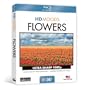 HD MOODS:FLOWERS - Format: [Blu-Ray Movie]