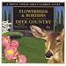 Flowerbeds & Borders in Deer Country