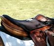 CASHEL CRUSADER TUSH CUSHION SEAT SADDLE ENGLISH [Misc.]