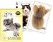 Hanadeka Club - CAT Playing Cards