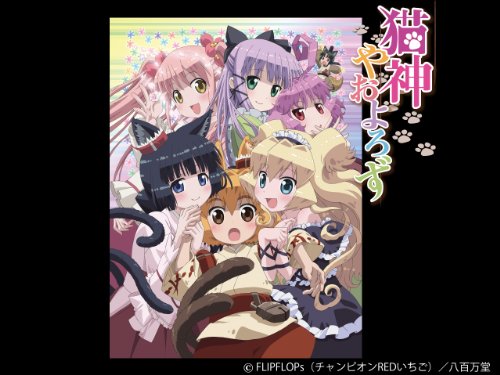 猫神やおよろず