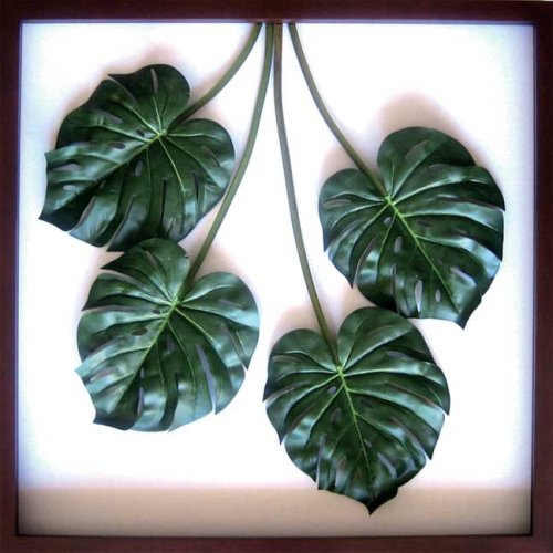 F-style リーフパネル・1040x1040x80mm　Monstera deliciosa