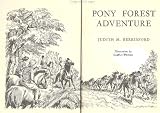 Pony Forest adventure