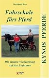 Fahrschule fuers Pferd: Die sichere Vorbereitung aufs Einfahren