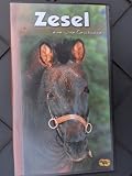 Zesel...eine wahre Geschichte