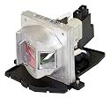 Optoma  BL-FP200E Replacement Lamp for HD71 & HD710 200W Home Theater Projectors
