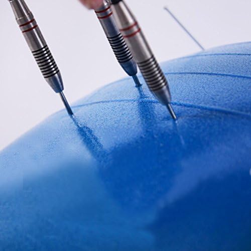 Pinjian Static Strength Exercise Stability Ball with Pump (Blue, 75 cm/29.5 inch)