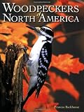 Woodpeckers of North America