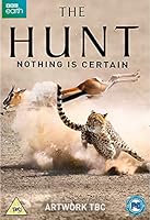 The Hunt