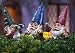 Set Of 3 Peeping Gnomes Garden Statues by Collections Etc
