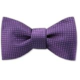 Revitalize Freestyle Bowtie by Enrico Pardini - Purple Silk