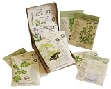 The Organic Herb Garden 12 Organic Seed Packets By Botanical Interests in a Gift Box