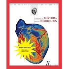 Principles of Anatomy and Physiology 11th Edition Binder Ready Version W  A Brief Atlas of... by  Gerard J. Tortora