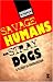 Savage Humans and Stray Dogs: A study in Aggression