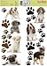 Fun Time Puppy Wall Stickers