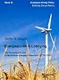 Energiepolitik & Lobbying : Die Novellierung des Erneuerbare-Energien-Gesetzes (EEG) 2009