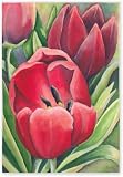 Red Tulip Garden Flag 14764
