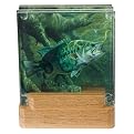 3-D Large Mouth Bass Coaster Set
