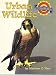 Books : Urban Wildlife (Houghton Mifflin Leveled Readers, Book 3.4.1)