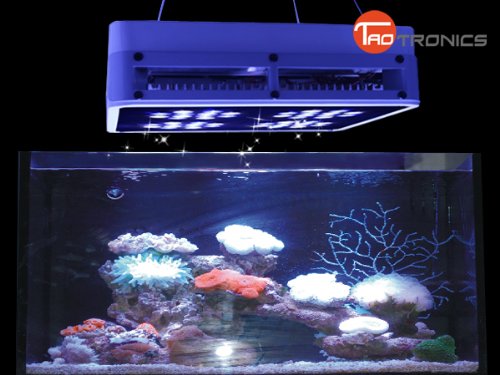 TaoTronics TT-AL03 New Design LED Aquarium Coral Reef Tank White Blue 1:1 LED Grow Light 141W