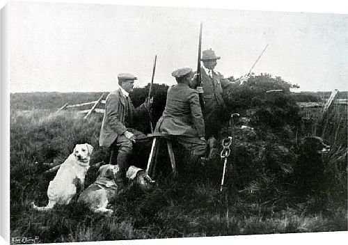 Canvas Prints of Grouse shoot from Country Life Canvas Prints of Grouse shoot from Country Life