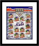 New York Mets 2008 Team Composite Framed 8x10 Photograph