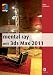 mental ray mit 3ds Max 2011
