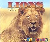 Lions (Wild Ones)