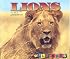 Lions (Wild Ones)