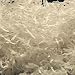 Kitchen & Housewares : Shredded Tissue 25g - White